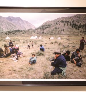 “Тайгын нөмөр”